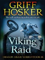 Viking Raid