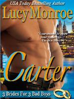 Carter (A 3 Brides for 3 Bad Boys Novella)
