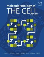 Molecular biology of the cell