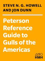Peterson Reference Guides to Gulls of the Americas