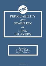 Permeability and Stability of Lipid Bilayers