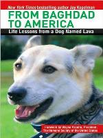 From Baghdad to America