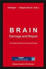 Brain Damage and Repair
