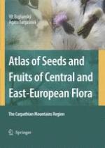 Atlas of Seeds and Fruits of Central and Easteuropean Flora