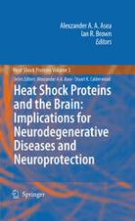 Heat Shock Proteins and the Brain