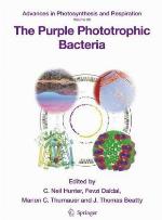 The Purple Phototrophic Bacteria