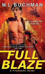Full Blaze (Firehawks, 2)