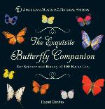 The Exquisite Butterfly Companion