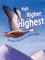 High, Higher, Highest