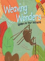 Weaving Wonders