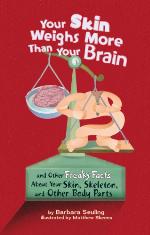 Your Skin Weighs More Than Your Brain