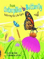 From Caterpillar to Butterfly