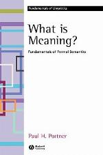What Is Meaning?