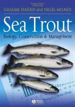 Sea Trout