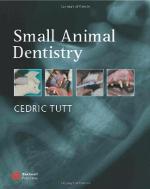 Small Animal Dentistry