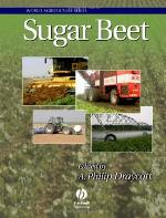 Sugar Beet
