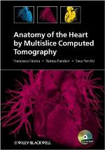 Anatomy Of The Heart By Multislice Computed Tomography