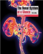 The Renal System at a Glance