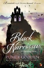 Black Narcissus (Virago Modern Classics #158)