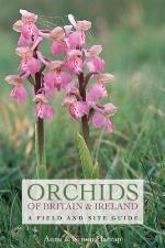 Orchids of Britain and Ireland : a field and site guide
