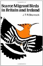 Scarce Migrant Birds in Britain and Ireland