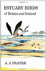 Estuary Birds of Britain and Ireland