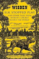 Elk Stopped Play