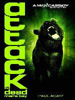 Attack at Dead Man's Bay