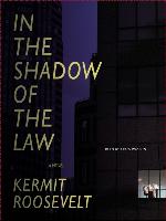 In the Shadow of the Law