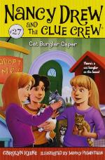 Cat Burglar Caper