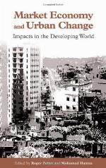 Market Economy and Urban Change : Impacts in the Developing World.