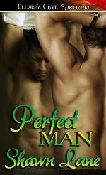Perfect Man