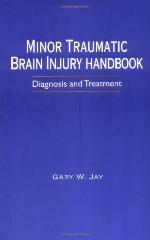 Minor Traumatic Brain Injury Handbook