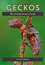 Geckos: The Animal Answer Guide (The Animal Answer Guides: Q&amp;A for the Curious Naturalist)
