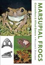 Marsupial Frogs: Gastrotheca&nbsp;and Allied Genera