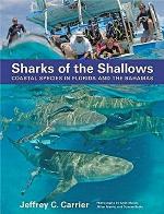 Sharks of the Shallows: Coastal Species in Florida and the Bahamas