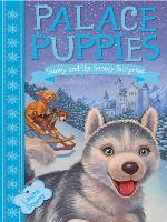 Sunny and the Snowy Surprise