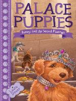 Sunny and the Secret Passage