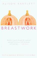 Breastwork : rethinking breastfeeding