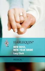 New Boss, New-Year Bride