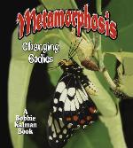 Metamorphosis