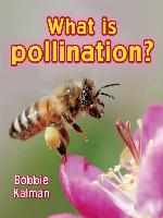 What is Pollination?