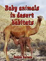Baby Animals In Desert Habitats