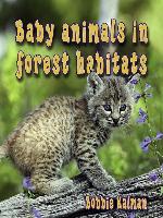 Baby Animals In Forest Habitats
