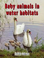 Baby Animals in Water Habitats