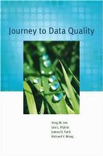 Journey to data quality