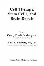 A Guide to Mammography and Other Breast Imaging Procedures