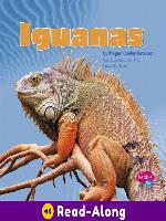 Iguanas