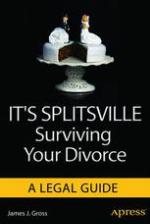 It's splitsville : surviving your divorce
