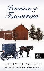 Promises of Tomorrow (The Walnut Creek Series)